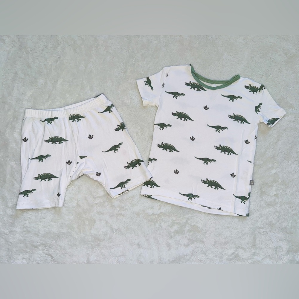 🦖Kyte Set🦖 - Picture 2 of 5